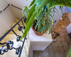 5 BR Bachelor Party Villa - Interior - Staircase